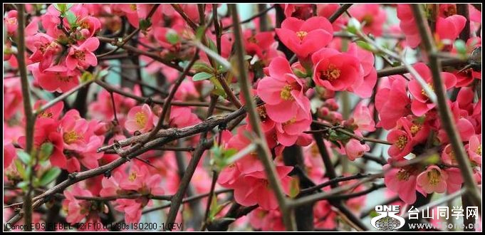 ������С IMG_2633.JPG