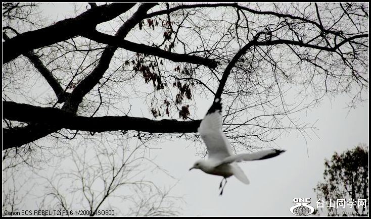 ������С IMG_1573.JPG