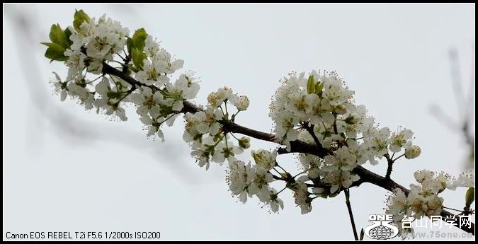 ������С IMG_2599.JPG