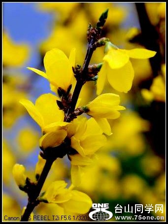 ������С IMG_2601.JPG