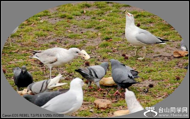 ������С IMG_1640.JPG