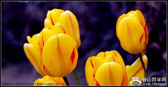 ������С IMG_3192.JPG