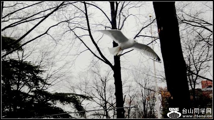 ������С IMG_1582.JPG