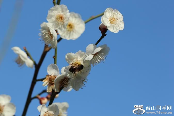 ������С IMG_1886.JPG