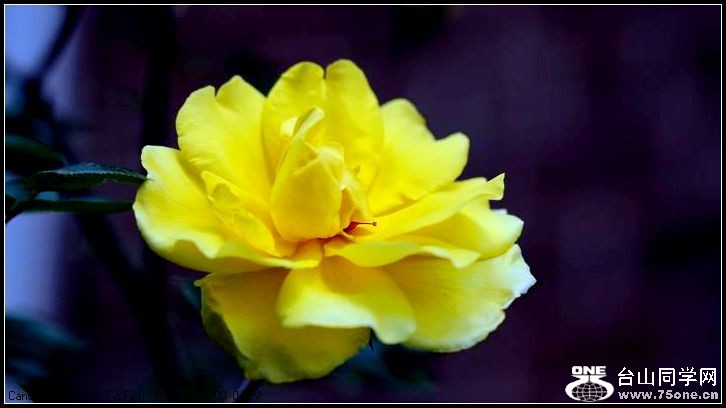 ������С IMG_3894.JPG