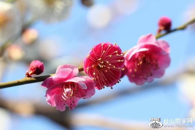 ������С IMG_1892.JPG