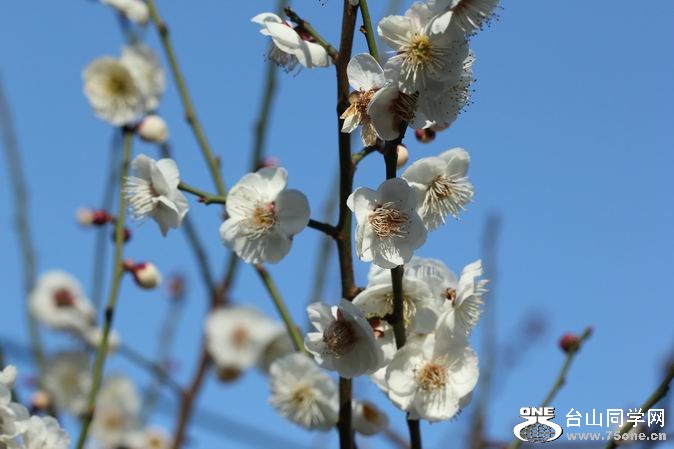 ������С IMG_1857.JPG