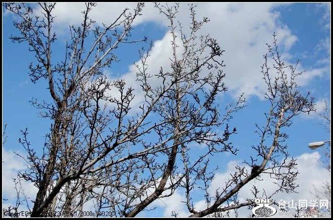 ������С IMG_1505.JPG