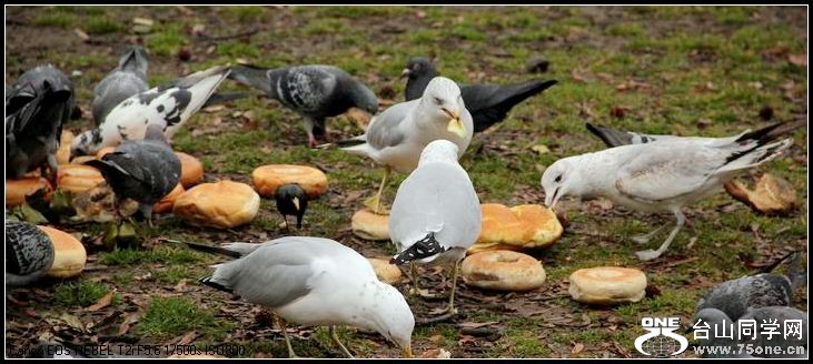 ������С IMG_1617.JPG