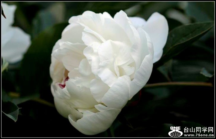 ������С IMG_4007.JPG