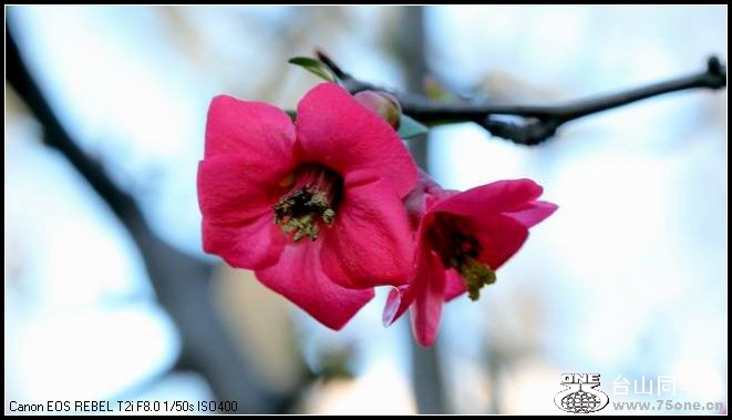 ������С IMG_1862.JPG