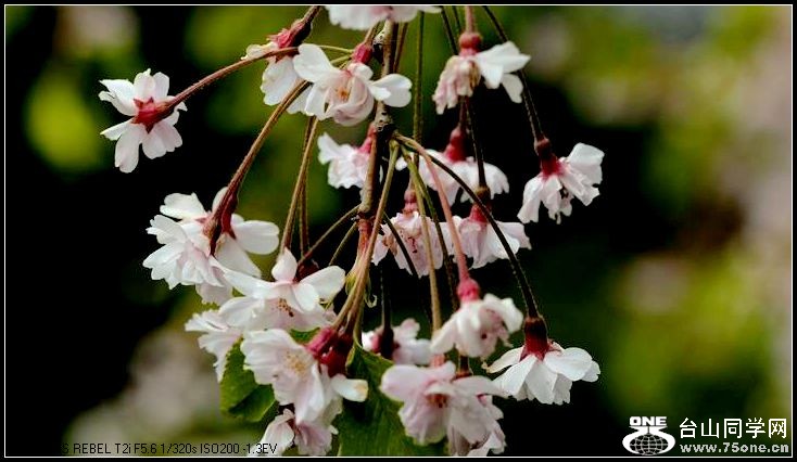 ������С IMG_3178.JPG