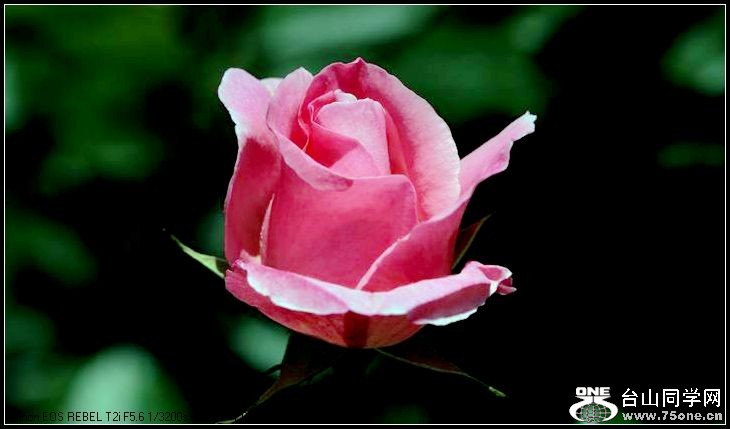 ������С IMG_4041.JPG