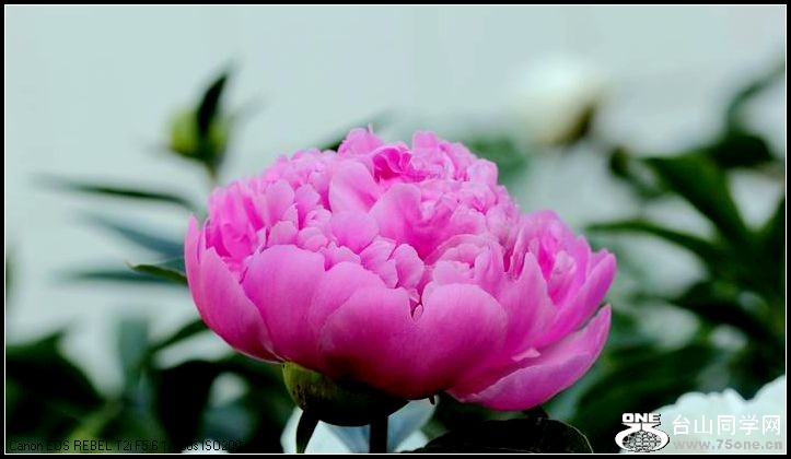 ������С IMG_3991.JPG