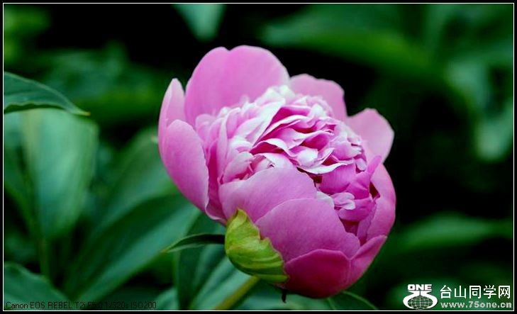 ������С IMG_4003.JPG