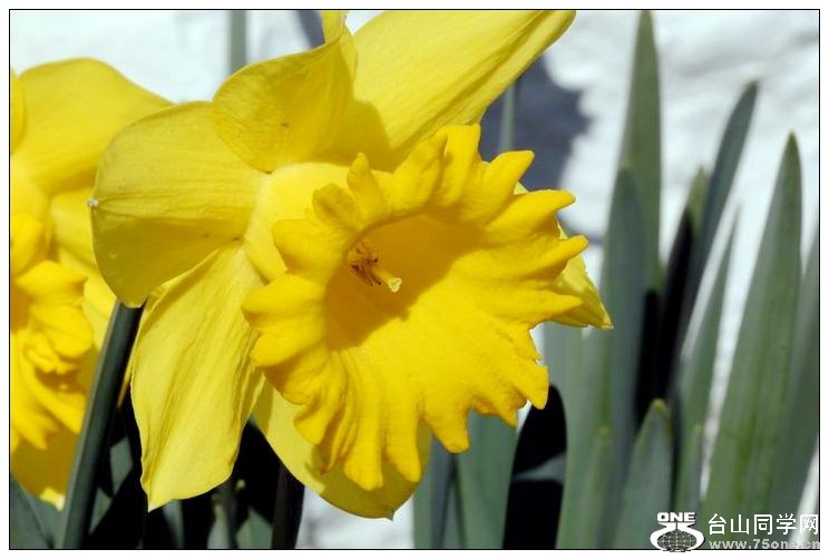 ������С IMG_2183.JPG