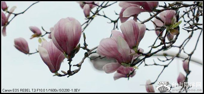 ������С IMG_2634.JPG