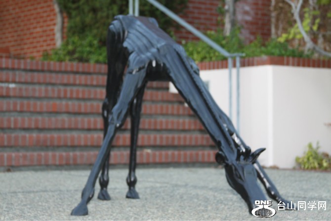 San Rafael.jpg
