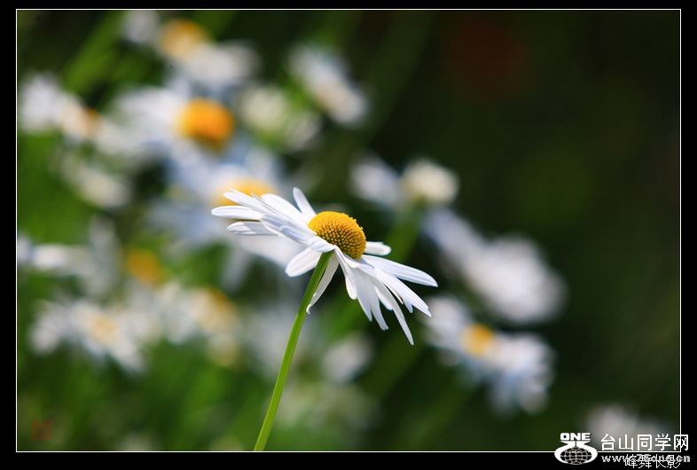 IMG_7765.jpg