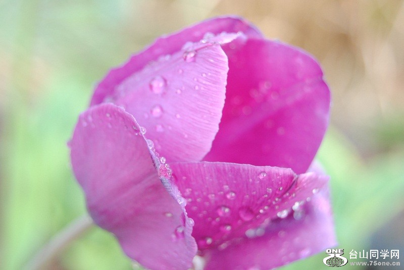 DSC_2136.JPG