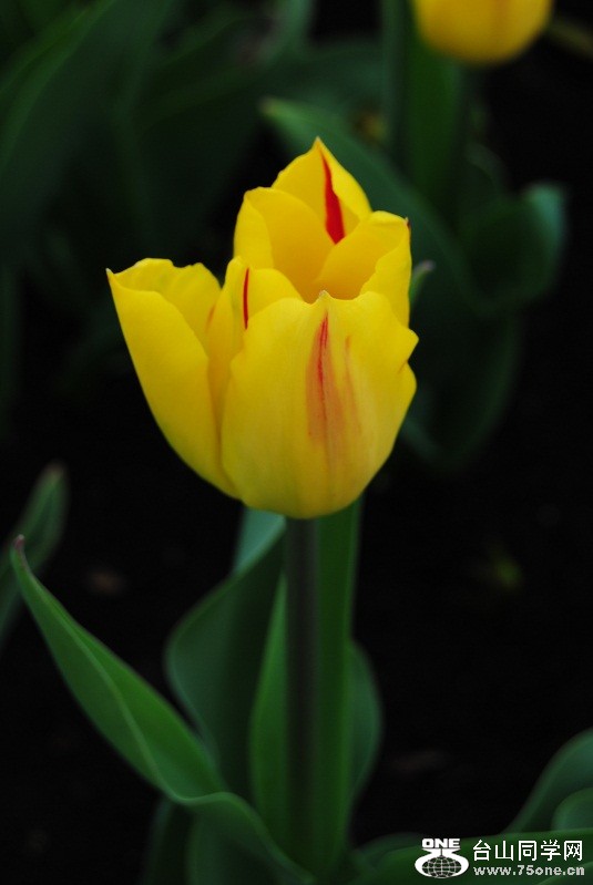 DSC_1666.JPG