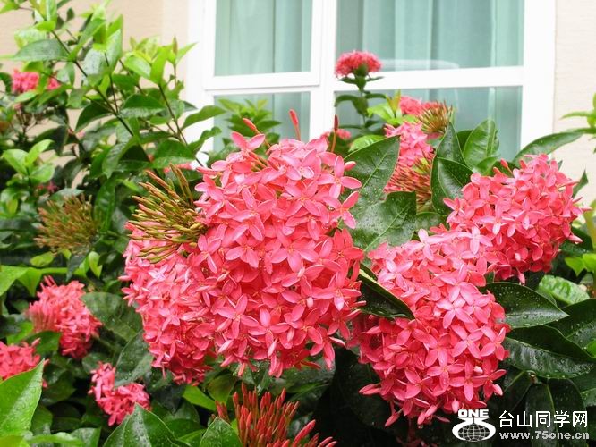 调整大小 PICT0030.JPG