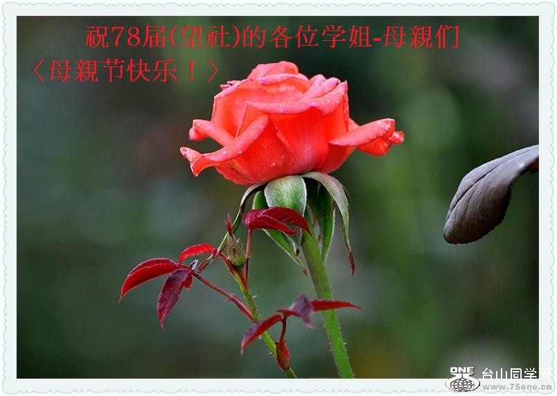 ףYanciѧ78()ĸλѧ-ĸHǡĸHڿ֣.jpg