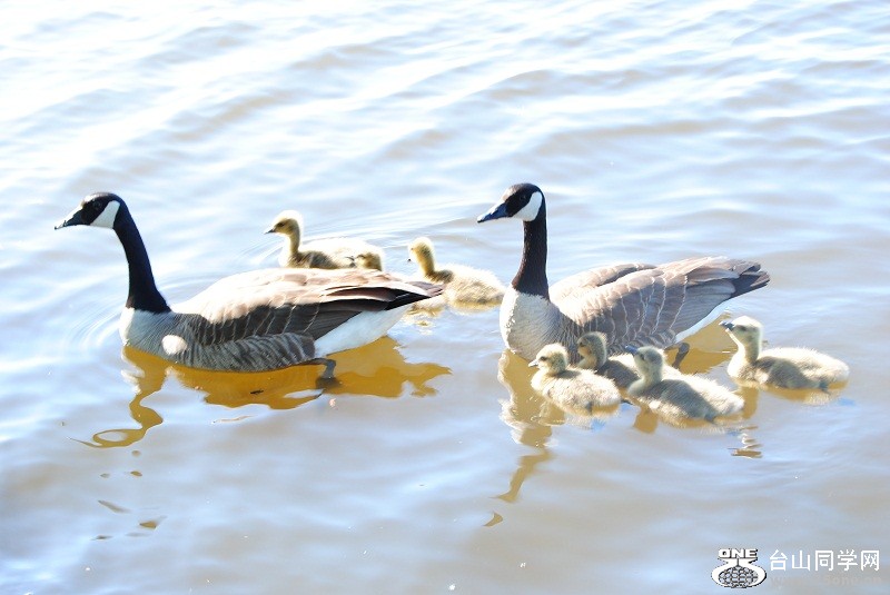 DSC_1886.JPG
