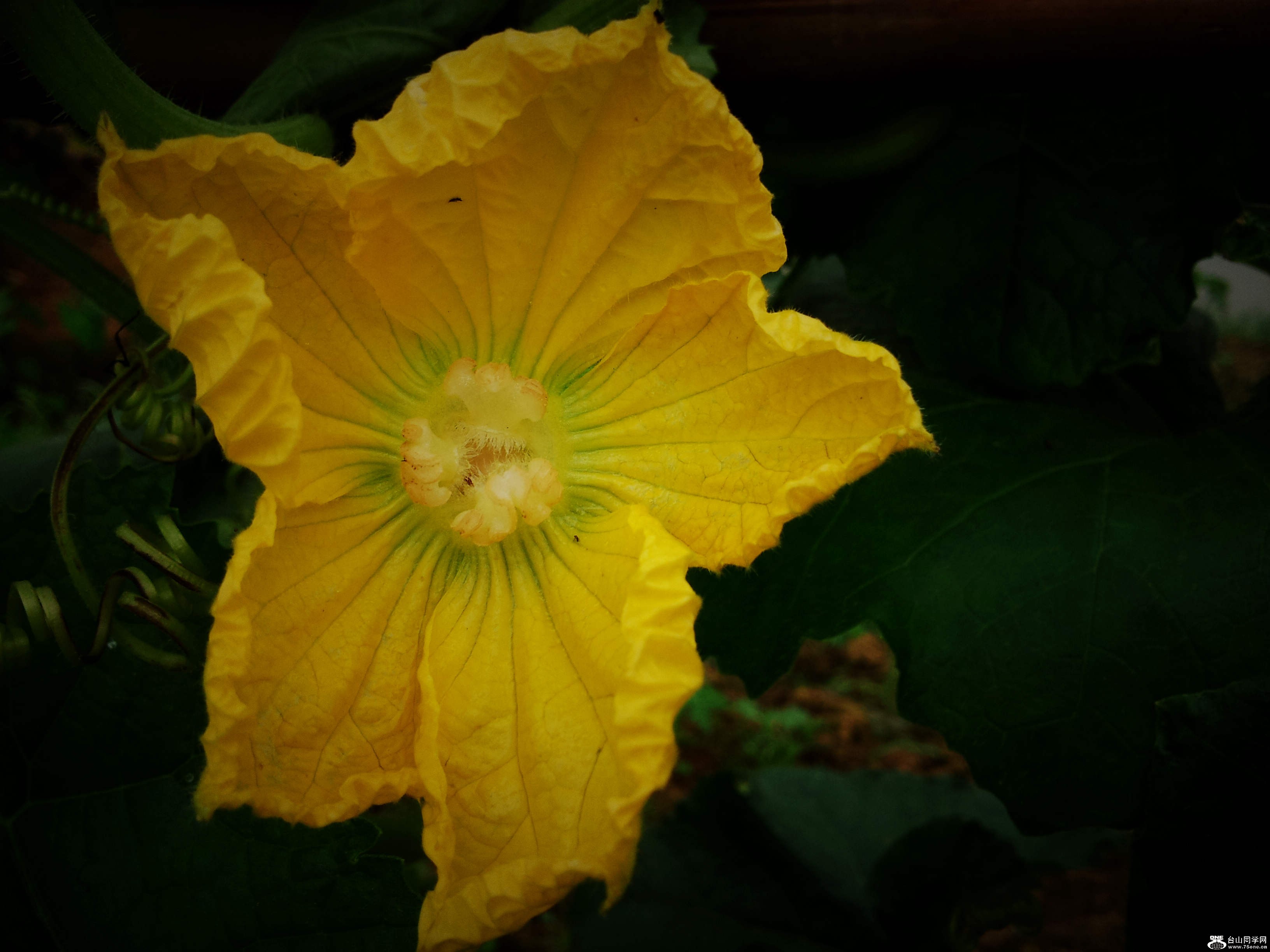 20120506_171118.jpg