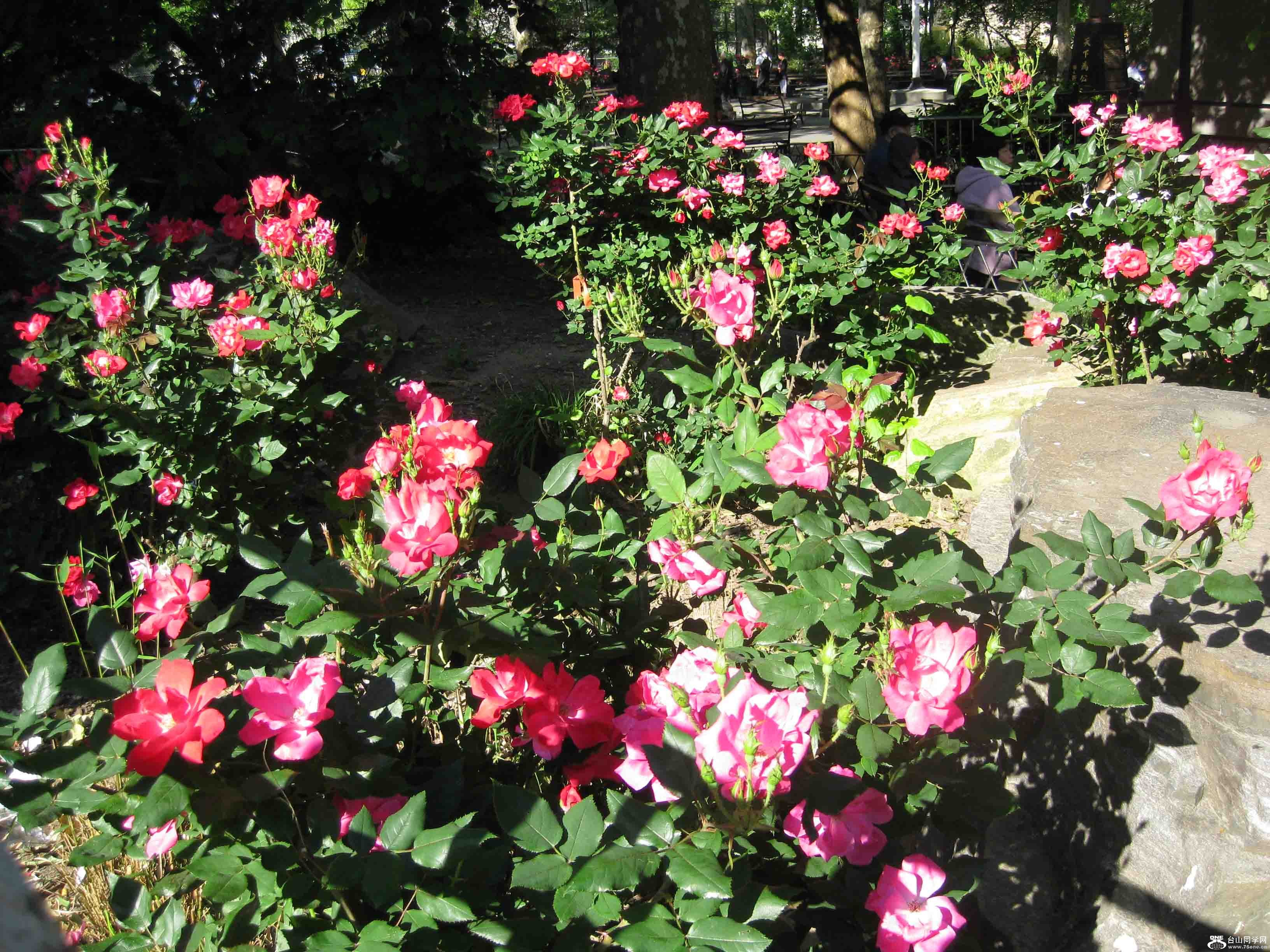 IMG_8880.JPG