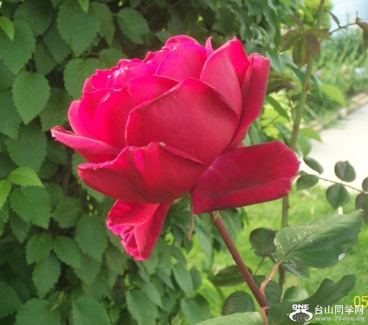 100_1607.JPG