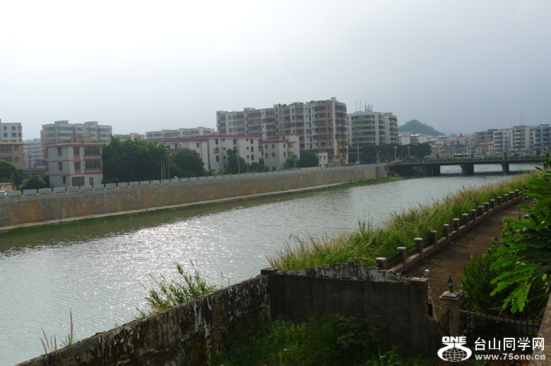 P1000925_.jpg