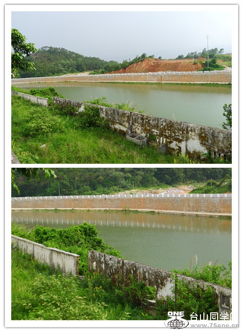 P1000931_.jpg