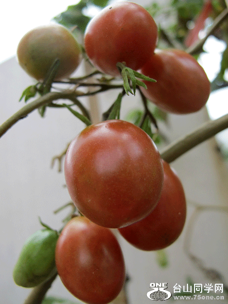 IMG_6311.gif
