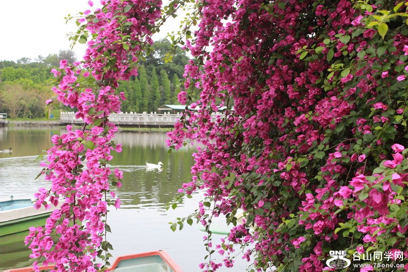 2012.4.28ʯ 058.jpg