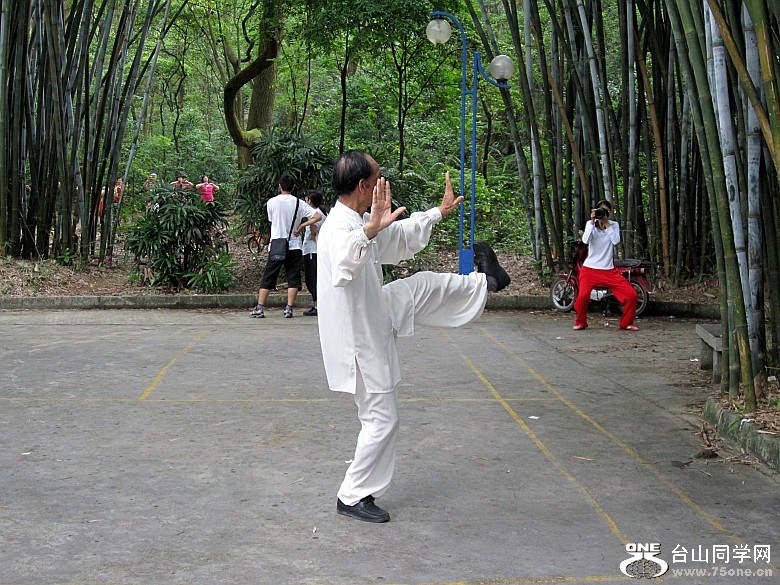 竹园斗山石华完美 009_conew1.jpg