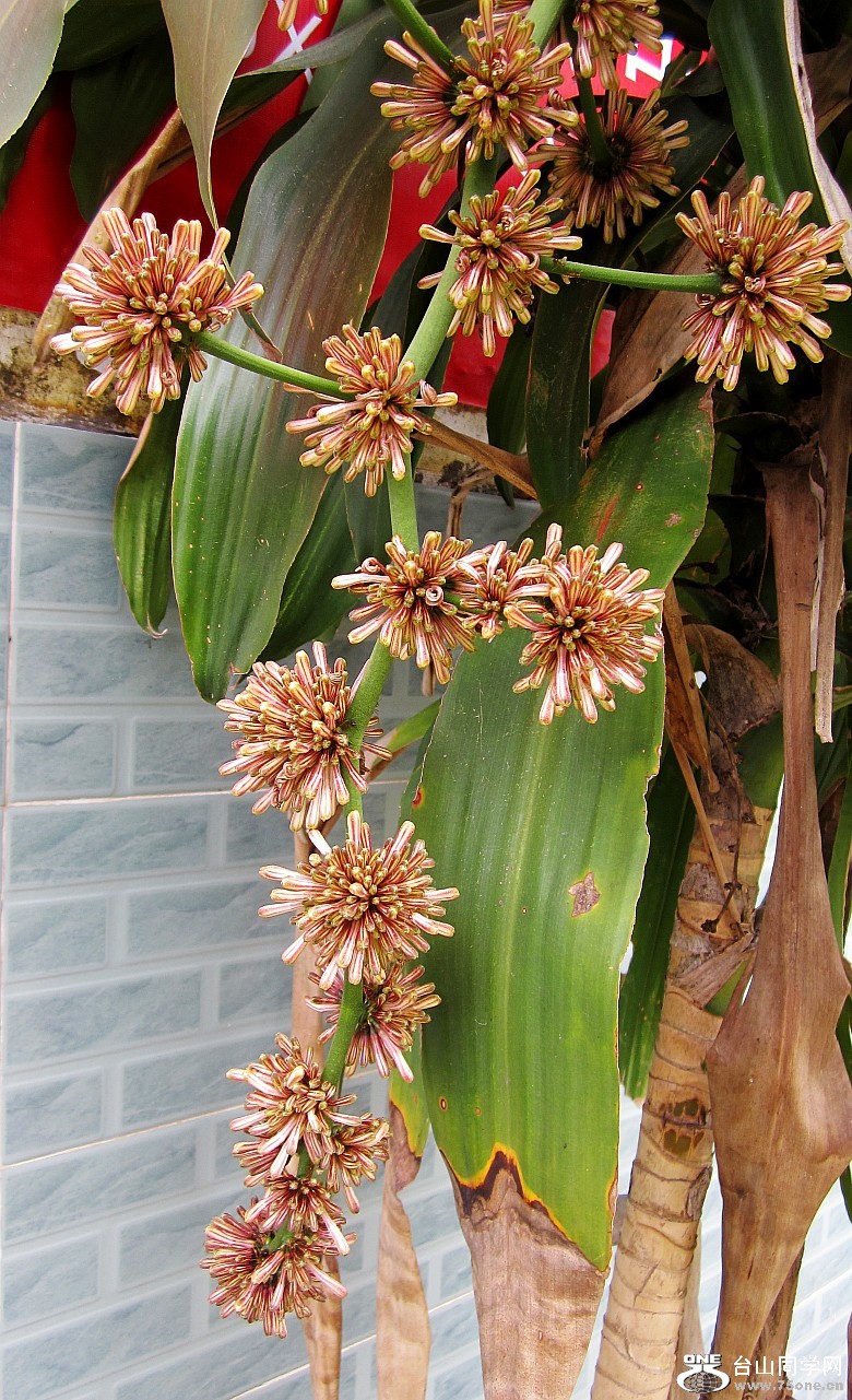 ϴ塢 034_conew1.jpg