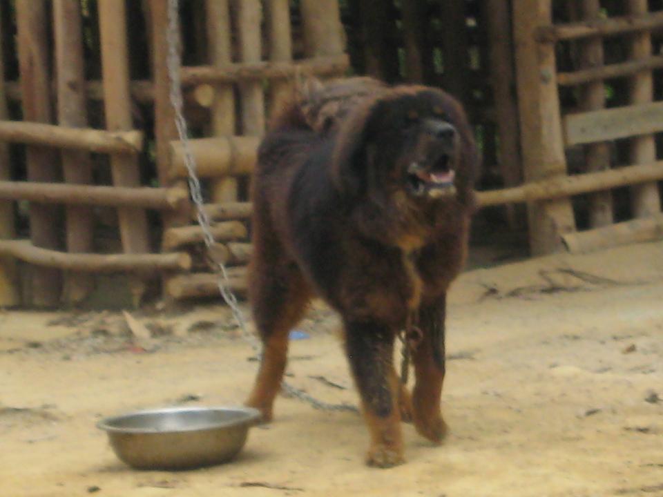 Ƭ 098.jpg