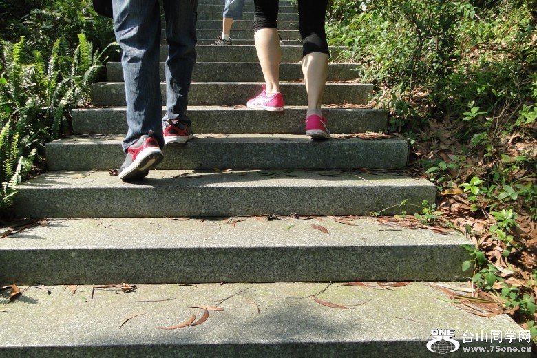 DSC06893_conew1.jpg