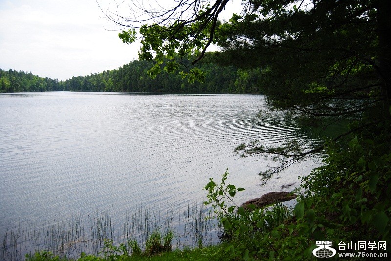 DSC_2403.JPG