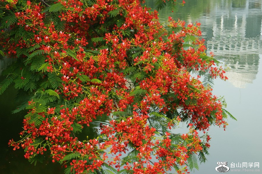 DSC00054.jpg