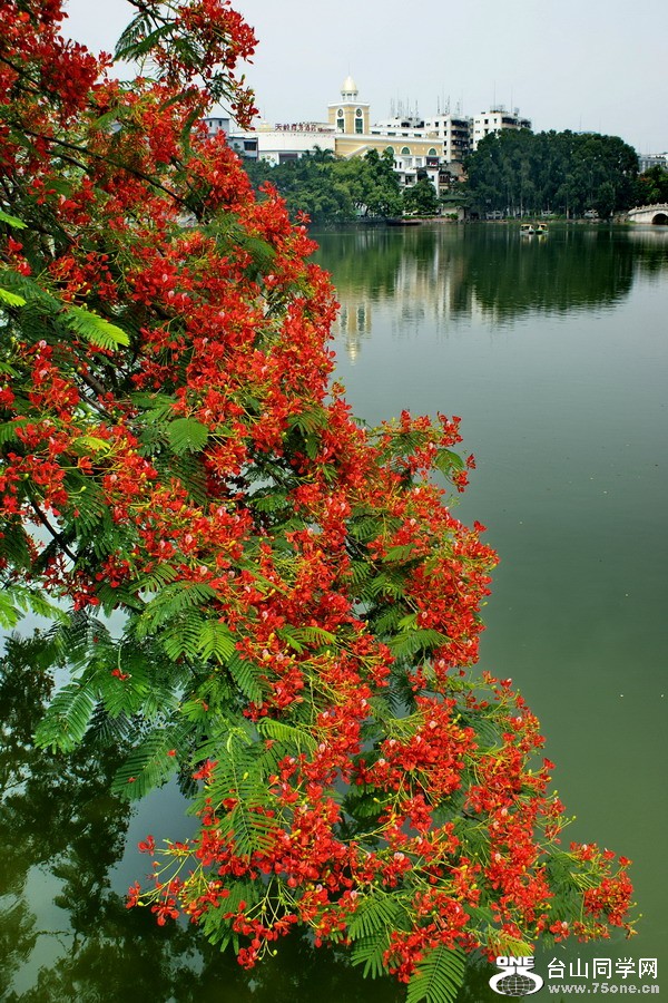 DSC00029.jpg