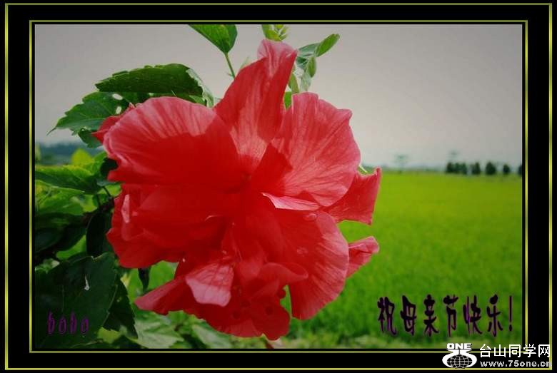 IMG_3347_conew1.jpg