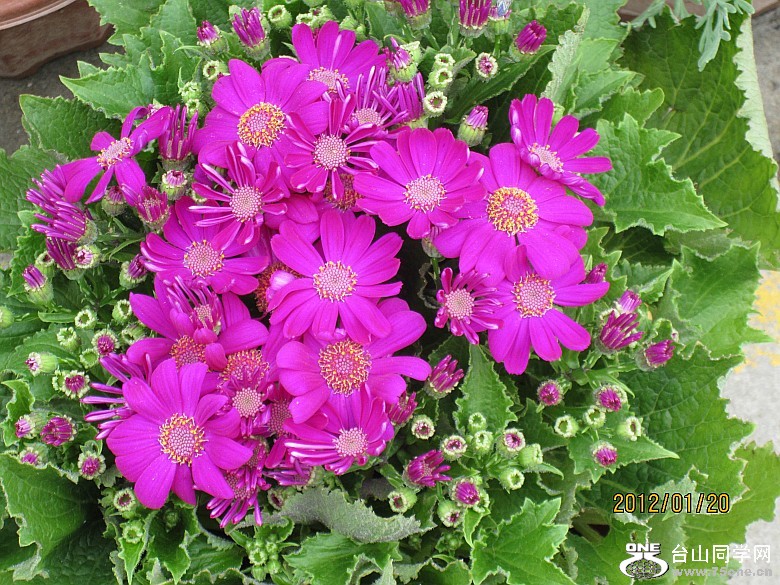 �껨����λ���� 122_conew1.jpg