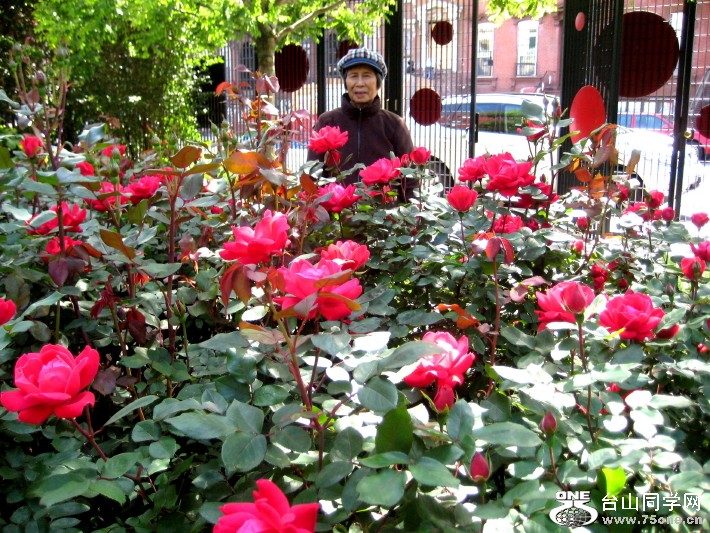 IMG_0001_474.jpg