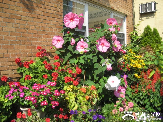 IMG_0001_53.jpg