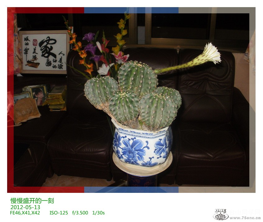 P1160063_.jpg
