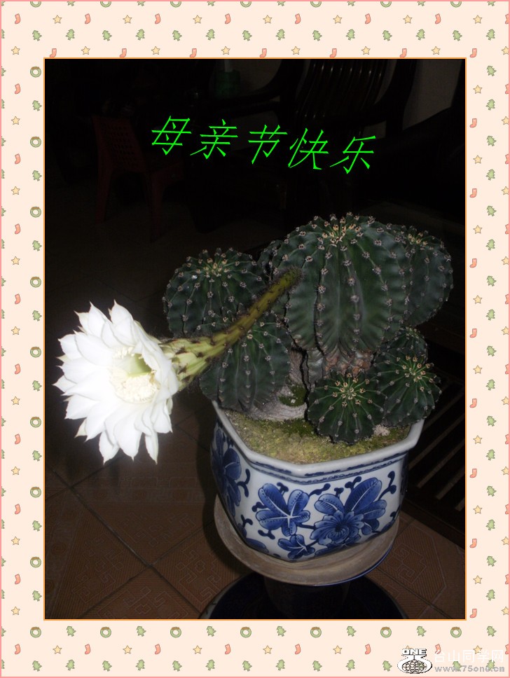 P1160050_����.jpg