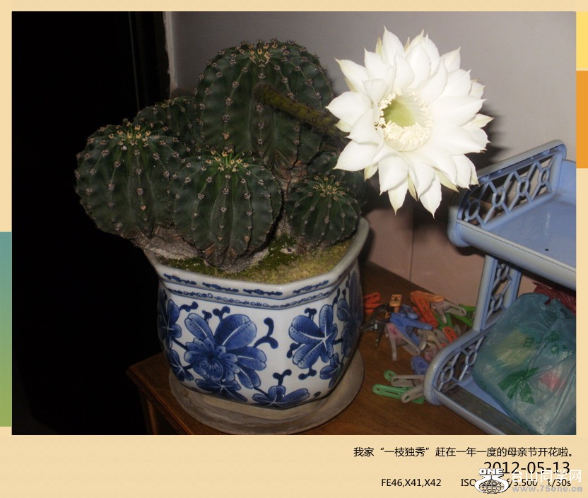 P1160076_.jpg
