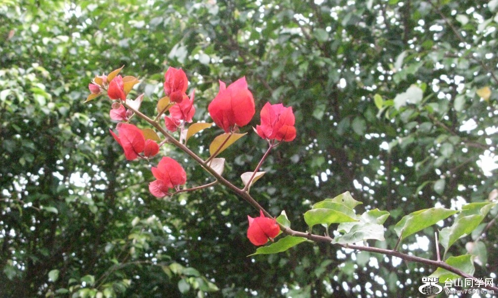 106.jpg